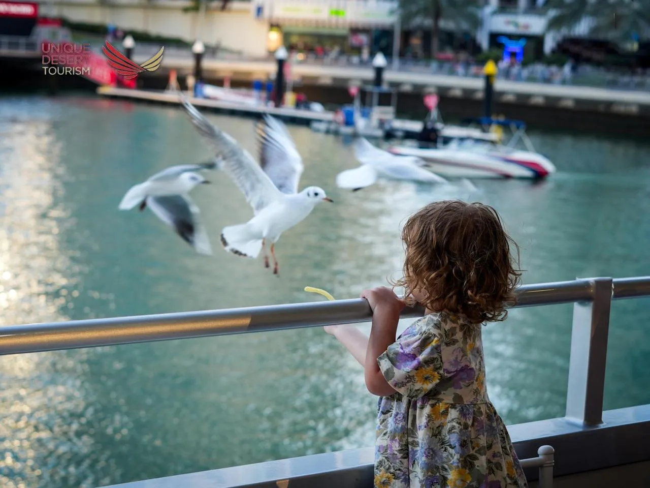 Catamaran Sunset Cruise Dubai Marina